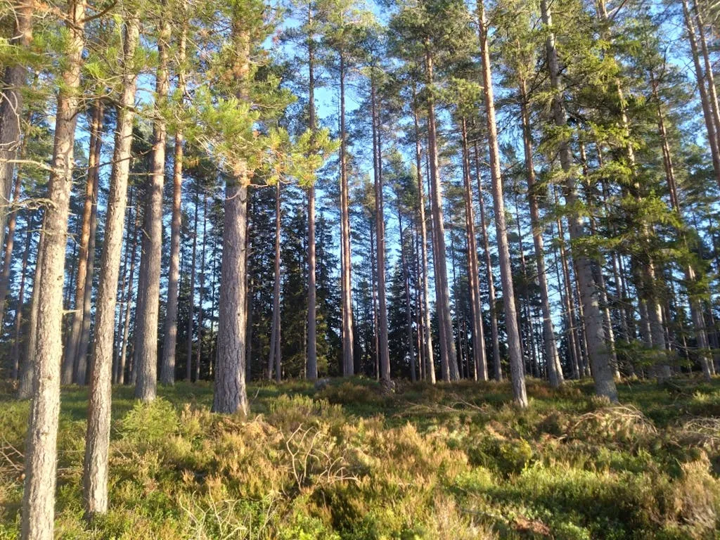 g7vVQusl6XkkRepOGHt5iRkyB7FR0xjFAJHWamyh