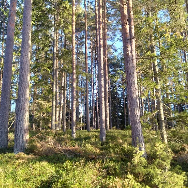 DObVQqCqXdms5fBzwmBzG0ZhQgDv3Y07hYc770b7