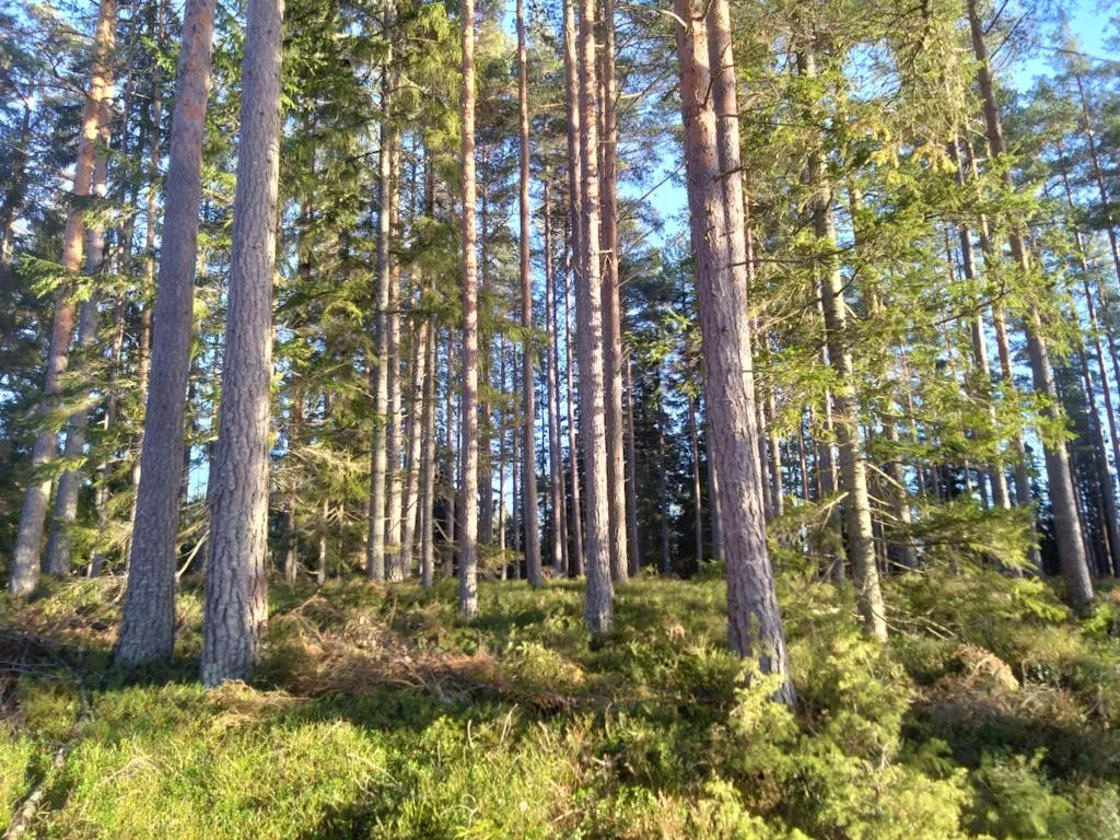 DObVQqCqXdms5fBzwmBzG0ZhQgDv3Y07hYc770b7