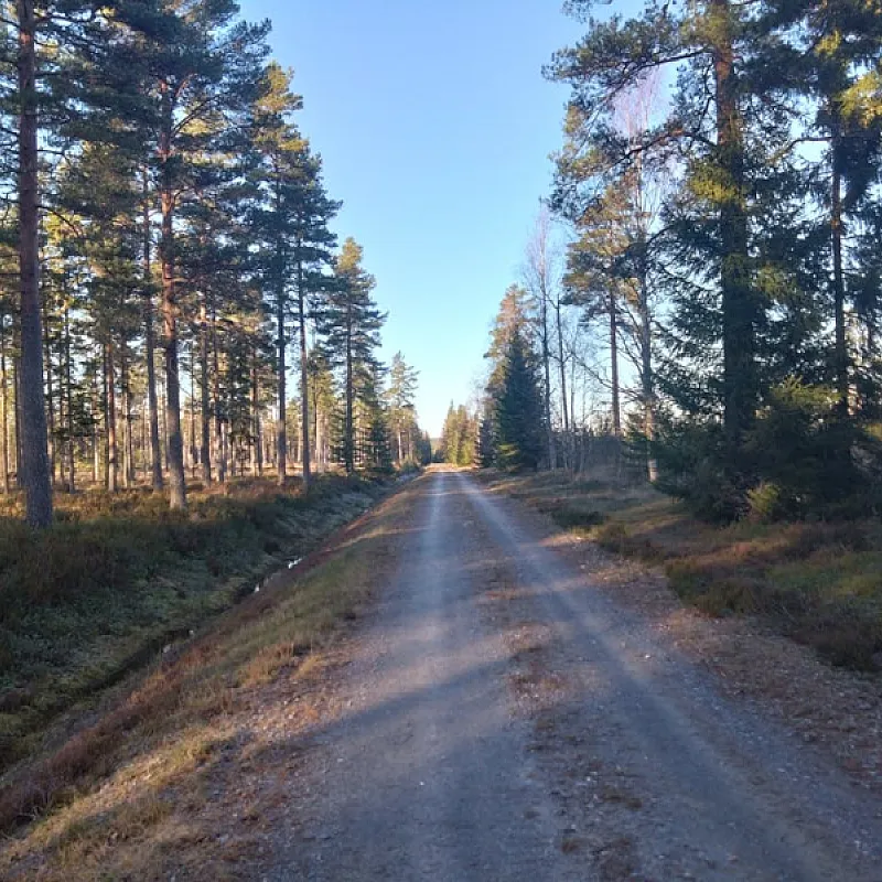 yXLaRSondF6786iVqo1Rus3wJXS7UQogEex4LwFJ