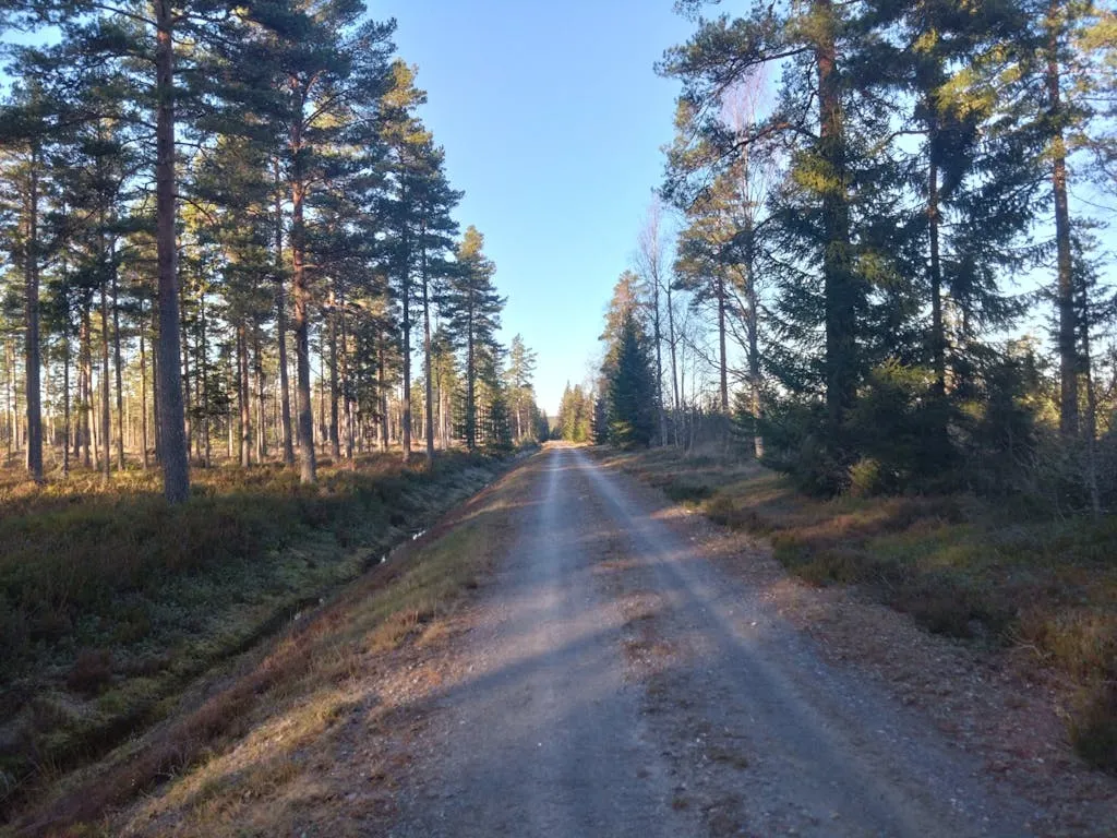 yXLaRSondF6786iVqo1Rus3wJXS7UQogEex4LwFJ