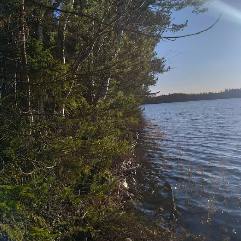 zjjabjySV6IjjNedQf6RgUDqqjWgnQVsnyy0U3N1