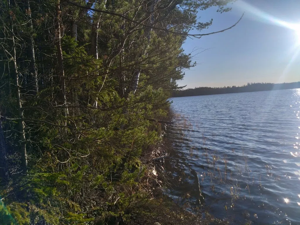 zjjabjySV6IjjNedQf6RgUDqqjWgnQVsnyy0U3N1