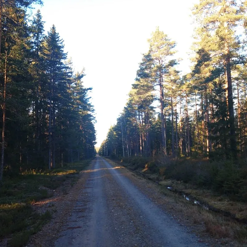 jIazzGPOx0fGDTgQv9TwbWZPFOzvuxB1vuPQuhZz