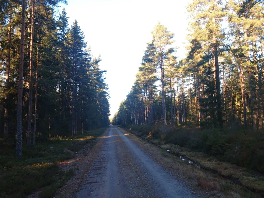 jIazzGPOx0fGDTgQv9TwbWZPFOzvuxB1vuPQuhZz