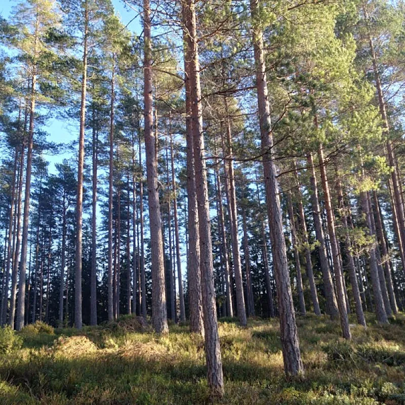 mbrtZeBPEiflCYwOck1otfLr4GRrj4CK7nGxgRE7