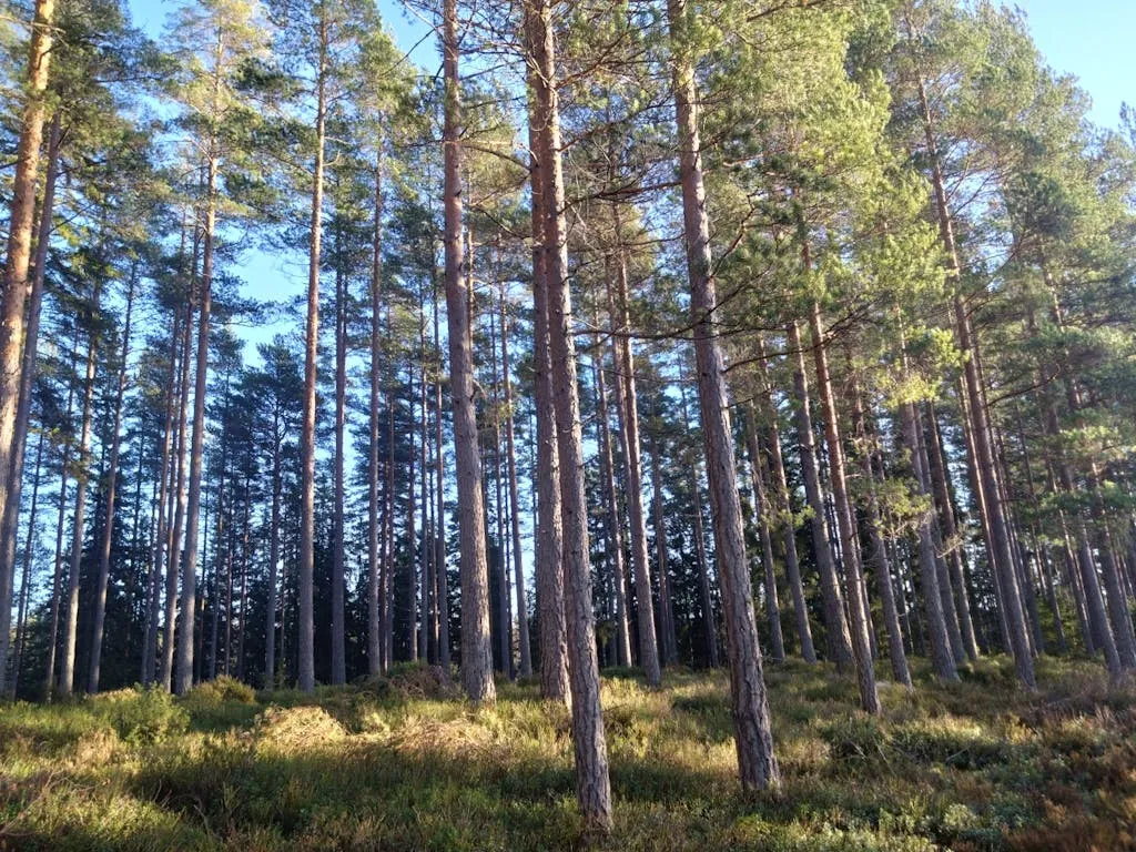 mbrtZeBPEiflCYwOck1otfLr4GRrj4CK7nGxgRE7