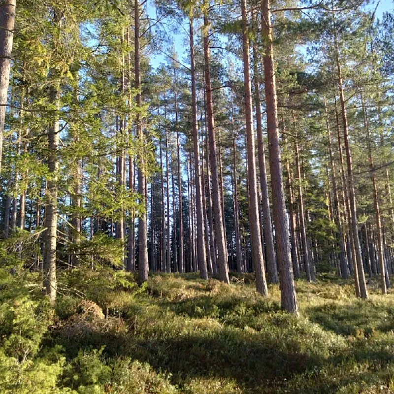 PM74yMJZt1VmFzw6SEp9orEj0NfpM4pewa3bKXkO