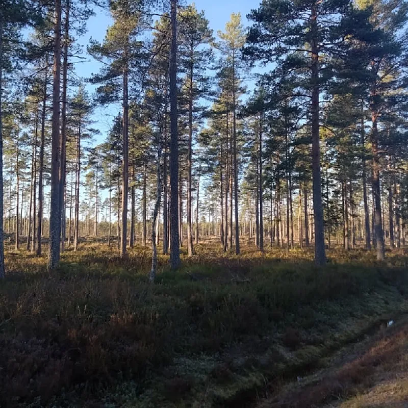 JL5HBO1uVqXncLsp0BCZ6C6qbU6ghqedwLp6Tgof