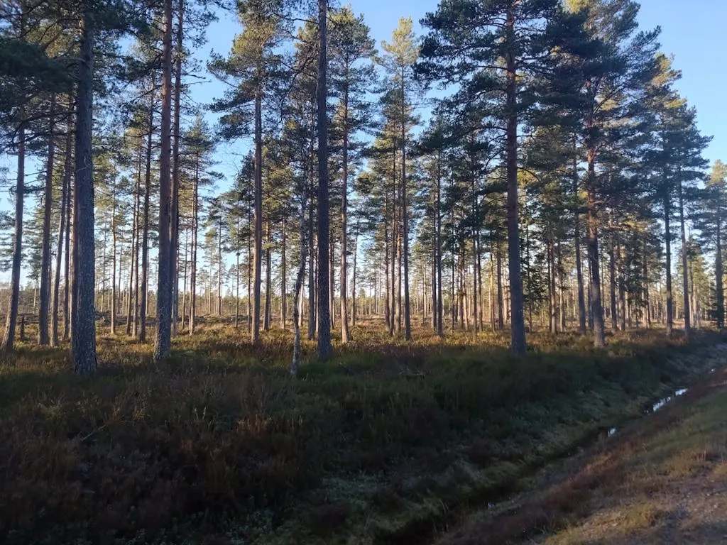 JL5HBO1uVqXncLsp0BCZ6C6qbU6ghqedwLp6Tgof