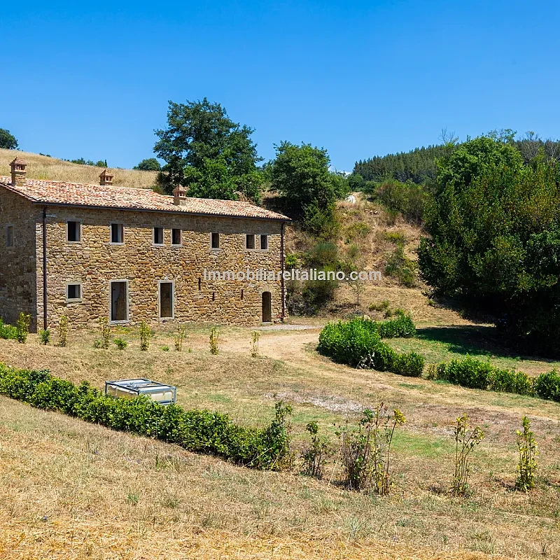 Visualizza immagine 2