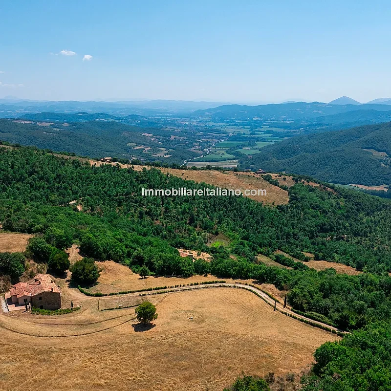 Visualizza immagine 3