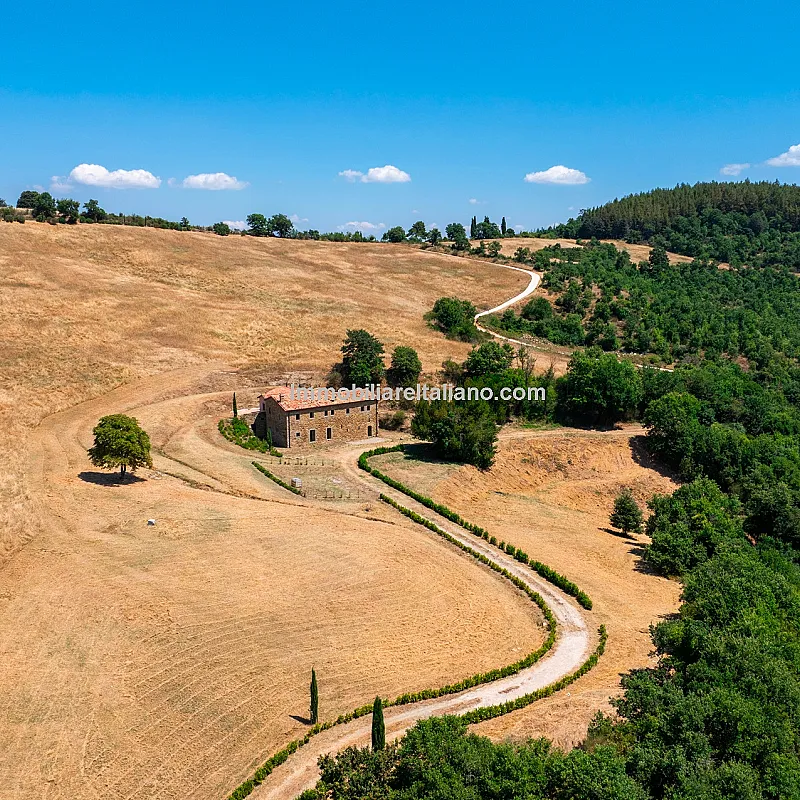 qY2D7Ut8n2s7ewBu8OevAt1ant46xiWSuMDMMbvW