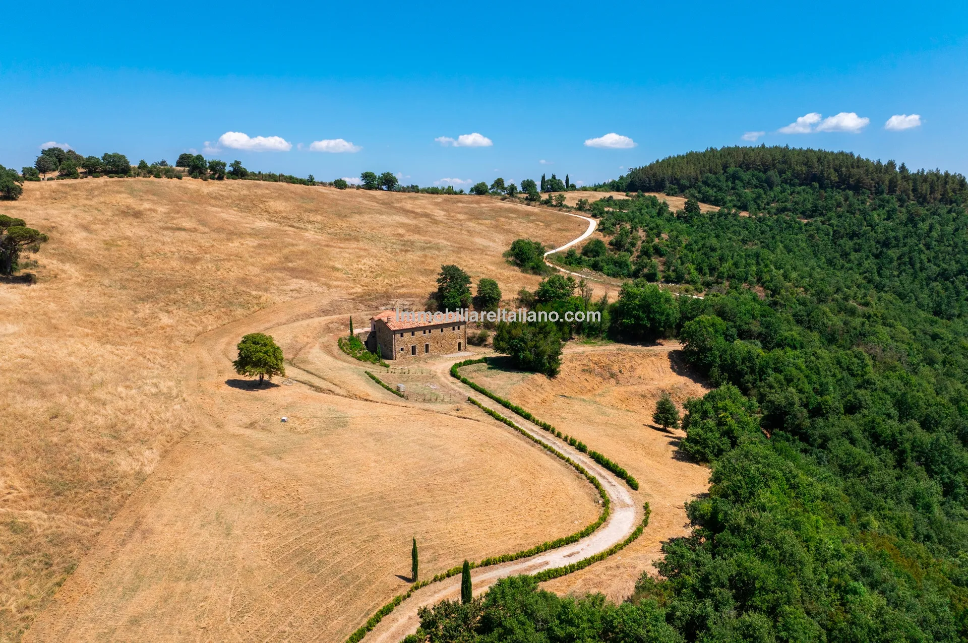 qY2D7Ut8n2s7ewBu8OevAt1ant46xiWSuMDMMbvW