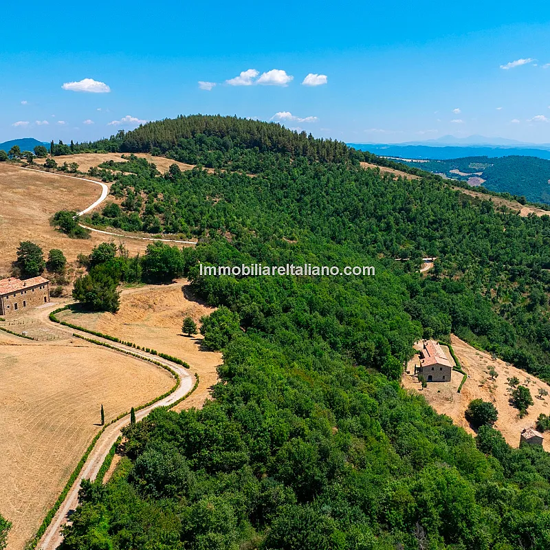 weTXQYlKrSKo0TN9UTlvV9y9kNrKtoP5FBPejtIU