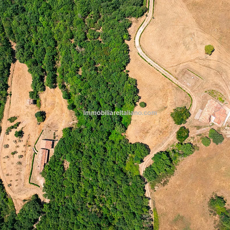 cSzSfZ425EvAbkf7lG4i3lGHpBEE8Pp4sfkwJ1W1