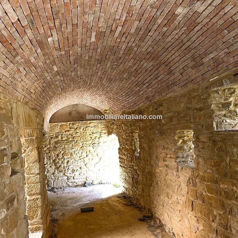 Visualizza immagine 21
