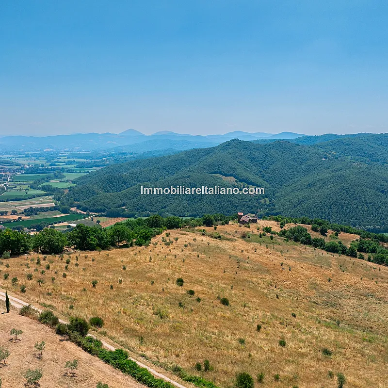 rmd0xDvI0FxwCfDPI58bSrWTlbtY02Zf7J4TYTzD