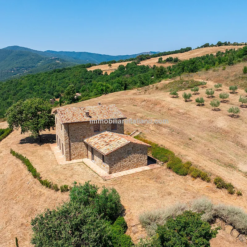 LSIfp4BCKYXREWEEYjlVGLzLubaKOejqitgO33aa