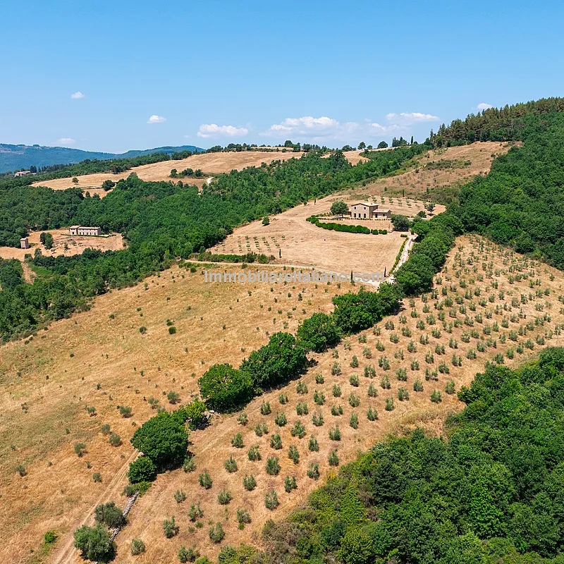 ntBrOHRYEwYv8VTg4H6yXzFNPqVou3ClzuIfPbTG