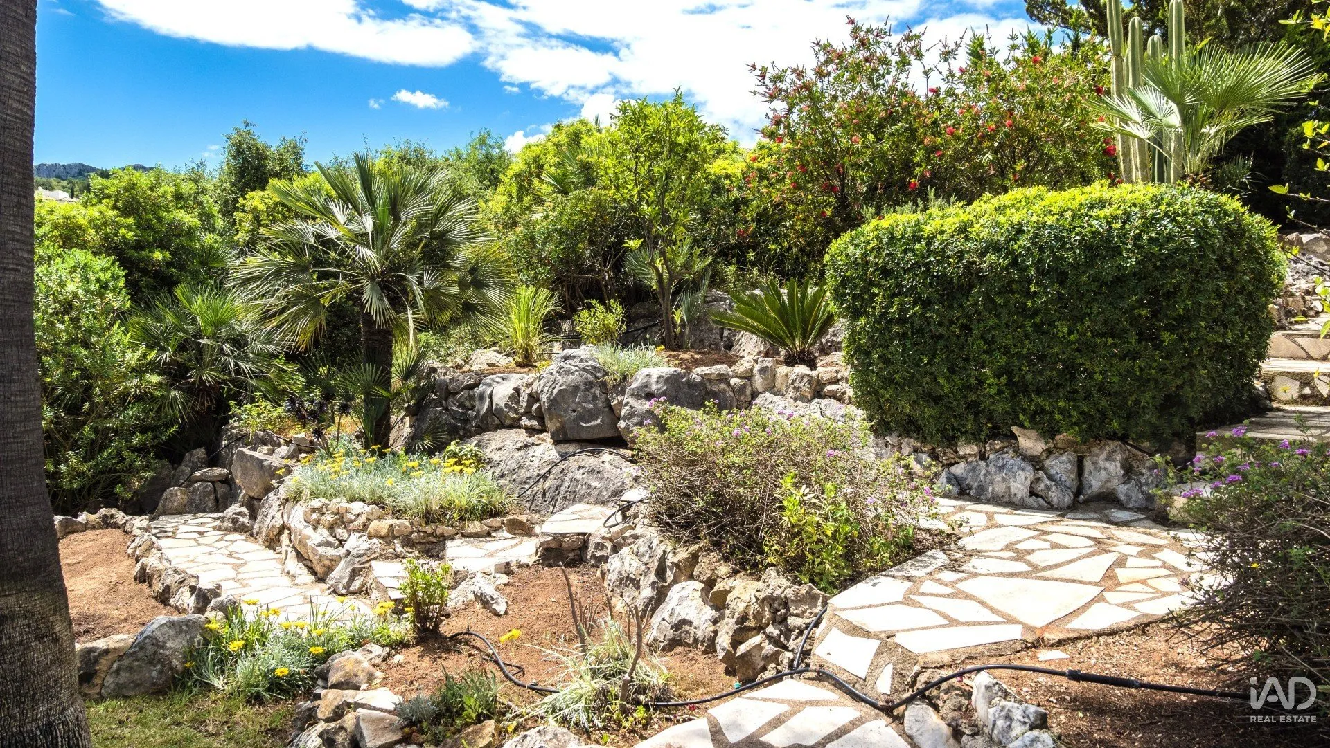 K82f34A9ljH6pdGxYILXl3NKb5X36Z0LEzYRdFo0