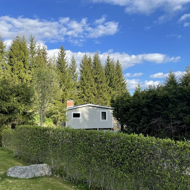 G3AJiPmhOiVAWZTmU9223rV0zjzlbMxsEIIIFvYg