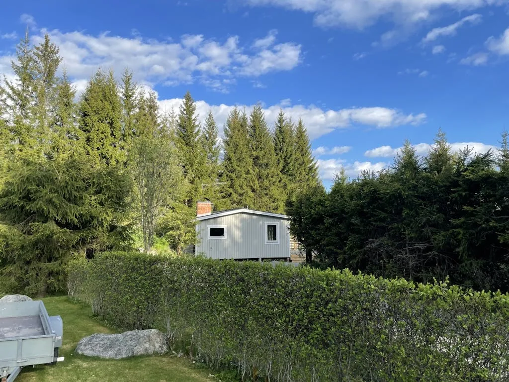 G3AJiPmhOiVAWZTmU9223rV0zjzlbMxsEIIIFvYg