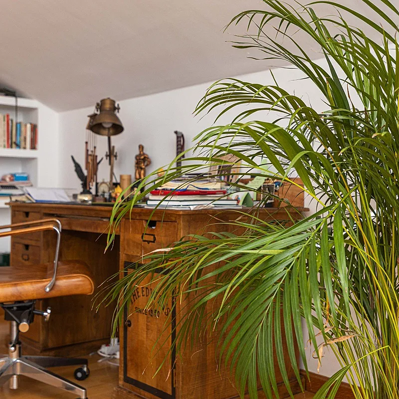 nMSOZ0RqPzTBkrbgHi8KZSsPVWPqtrJFFom7kozM