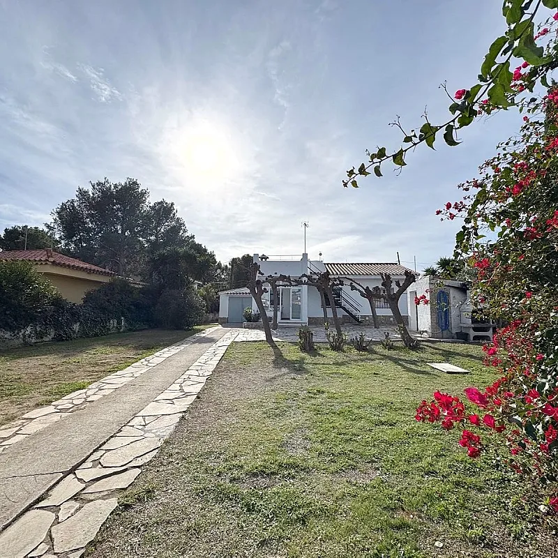 vgwSWI6cS2IvVkRTDe9PkpucZhy6OrV2fVmdmg8X