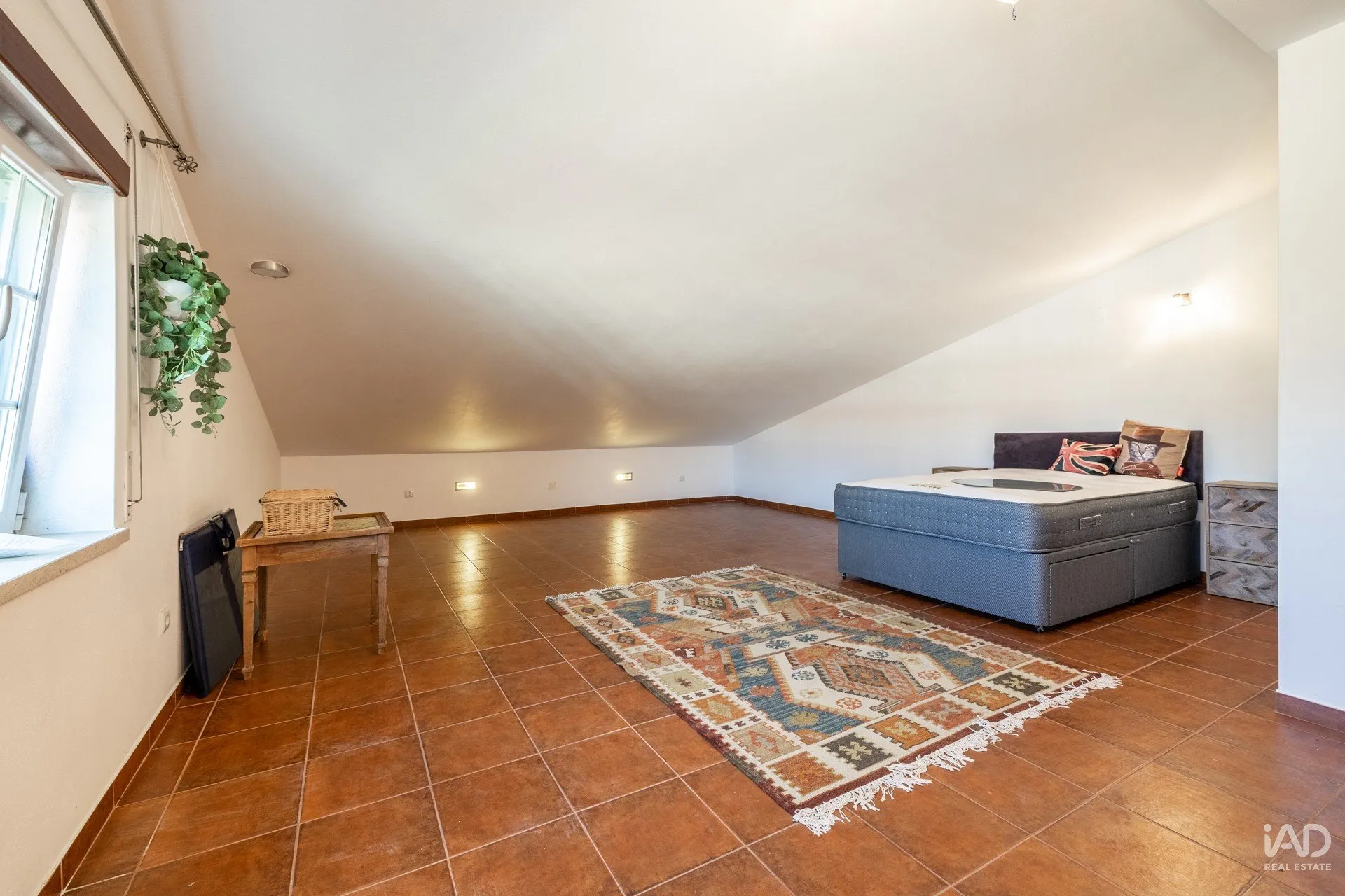 UogV78P2K1tLsSSwMZZvc3F5s6ECuuce3tWEzXy6