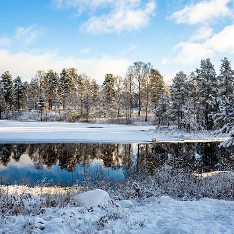 mPMaGPr9NuYrR1NAfLzoMFEzn3KuCqSvqwP5ZIN0