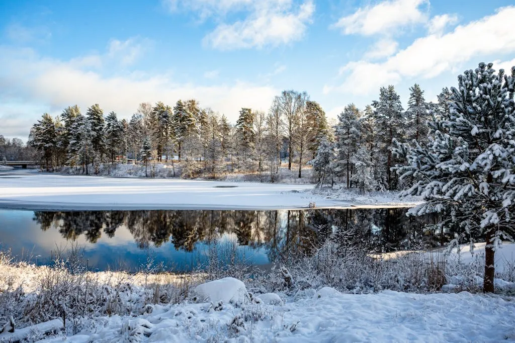 mPMaGPr9NuYrR1NAfLzoMFEzn3KuCqSvqwP5ZIN0