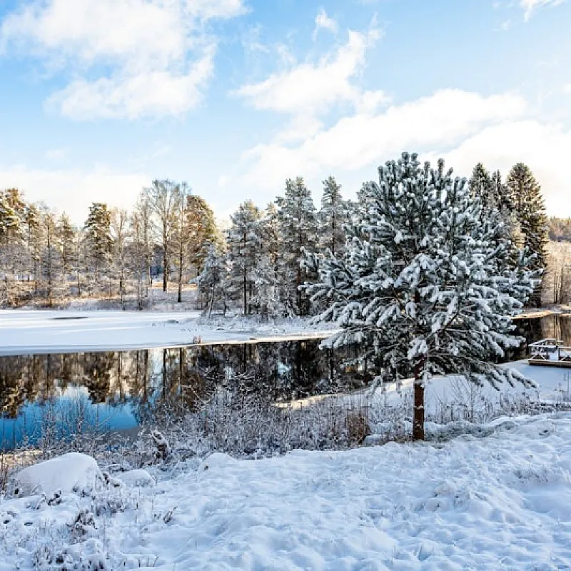 2OJOPPXebydHxp00a9qJIHs1E4kyh6F1NFW0OPEA