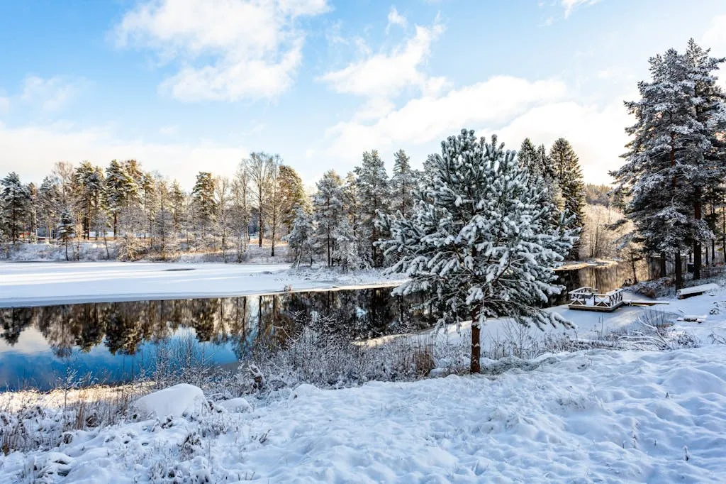 2OJOPPXebydHxp00a9qJIHs1E4kyh6F1NFW0OPEA