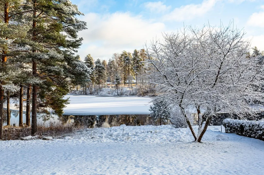 toTdKIITwlER6QvO25isGkvV8kMWxBXORivnOyGR