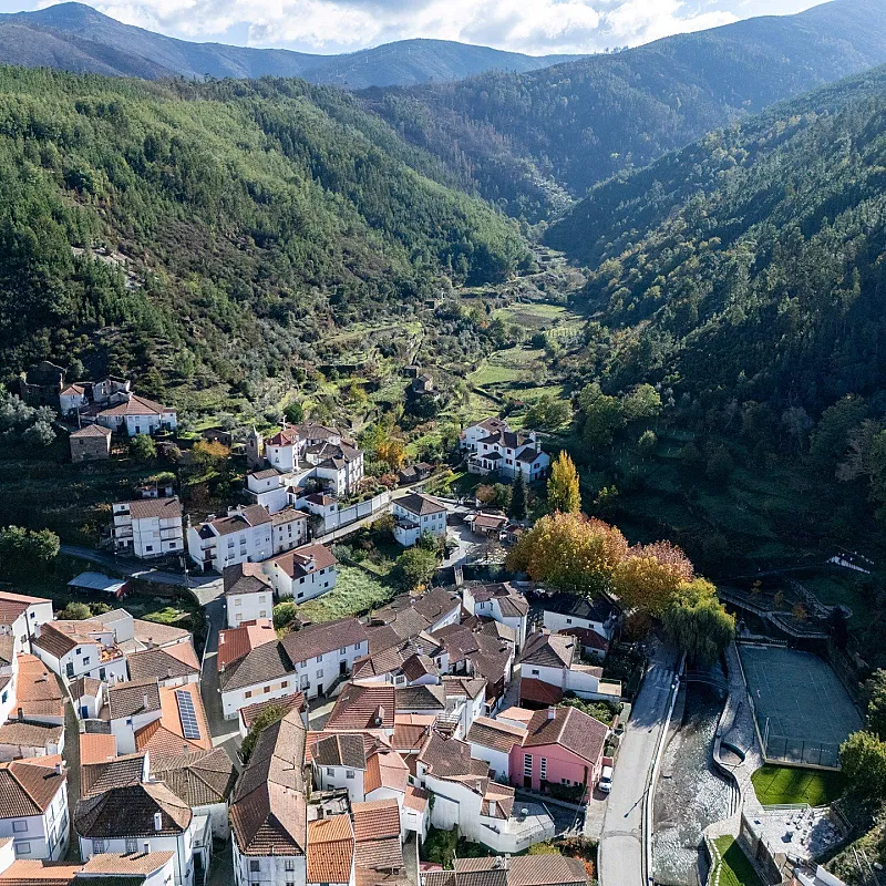 MrzRRccCoqRv7nC7N75Z7KSlNdJobrEpk7OLdRzm