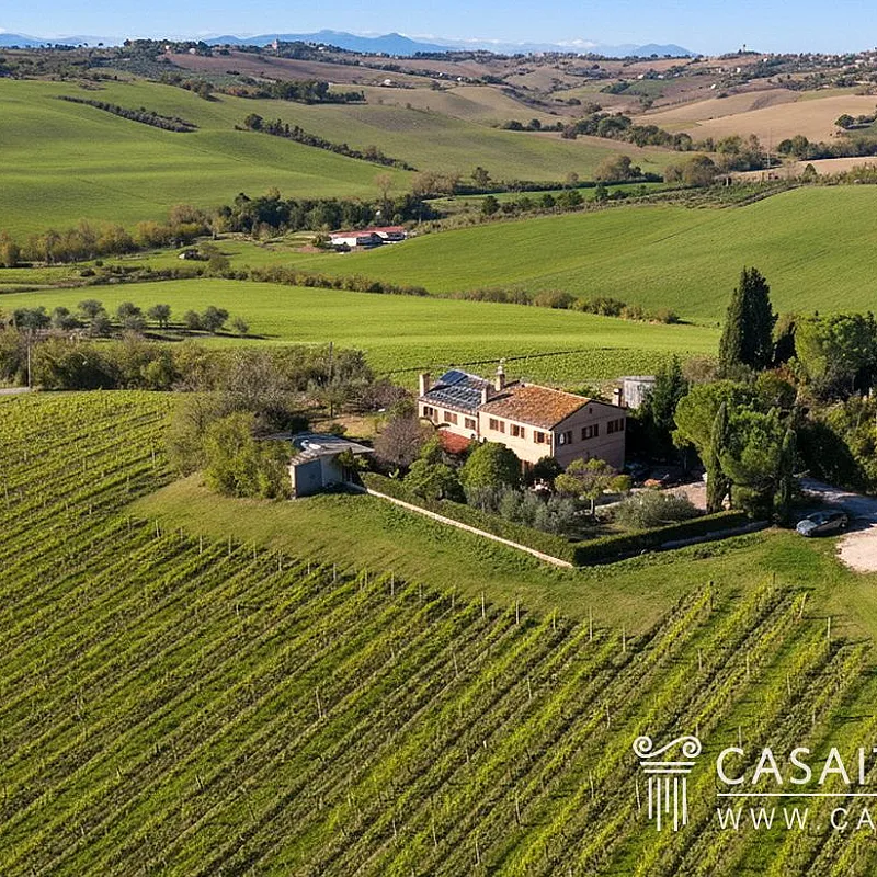 d86Ilxbp3gMfJamEG6zsF9sNZGjUrWWumpokSONb