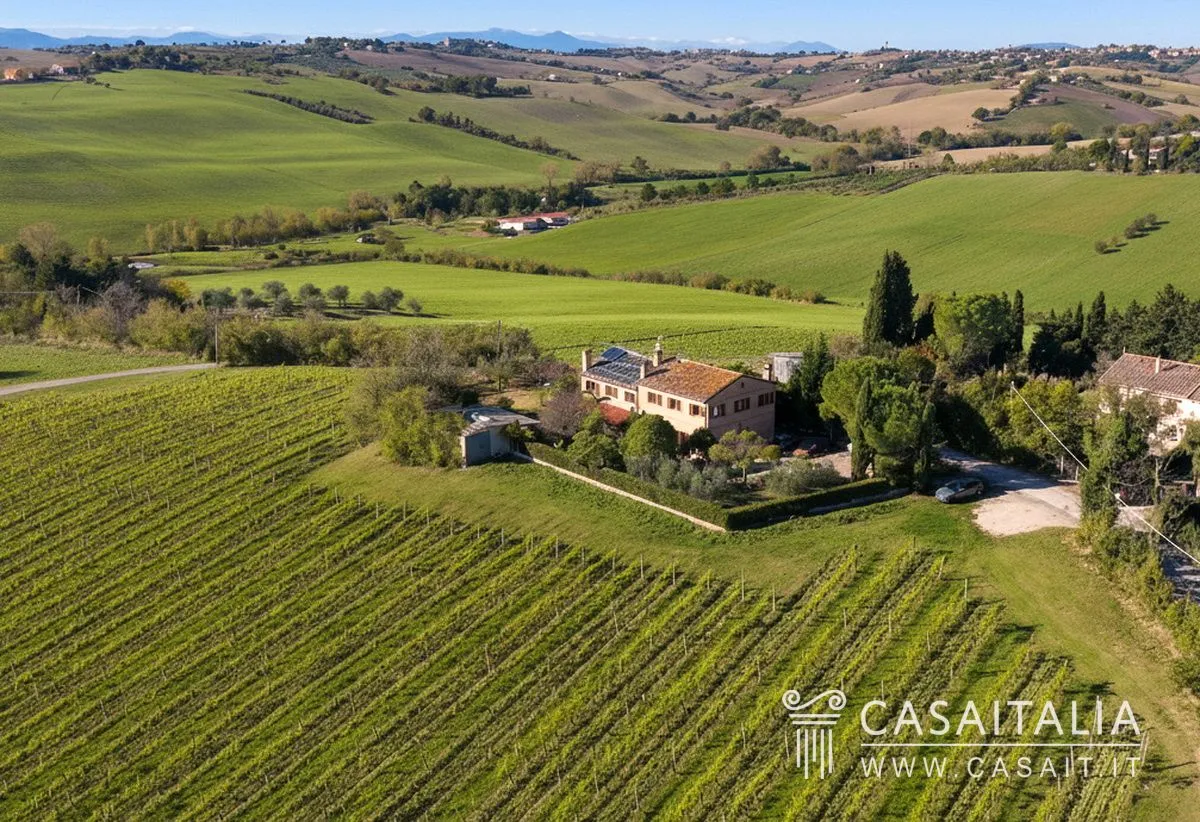 d86Ilxbp3gMfJamEG6zsF9sNZGjUrWWumpokSONb