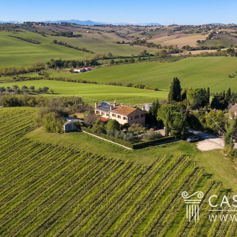 W2sCnoLbvYUOoMnF4g16u0qrzjRmsV1LEhJYu2fX