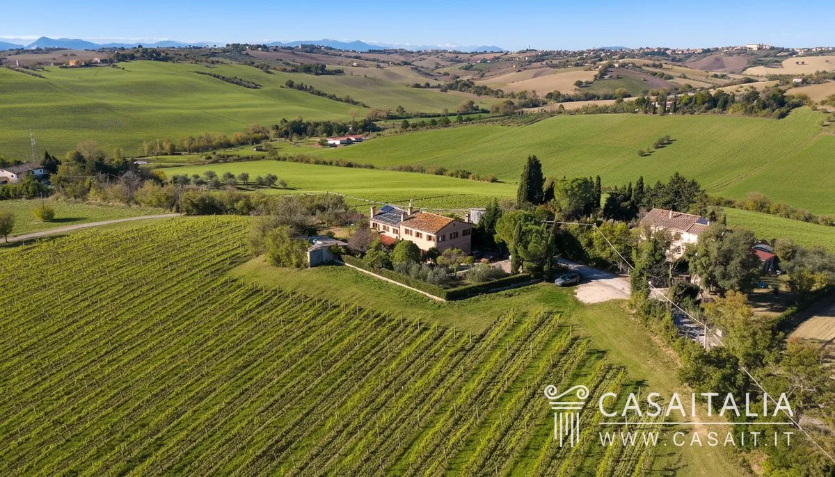 W2sCnoLbvYUOoMnF4g16u0qrzjRmsV1LEhJYu2fX