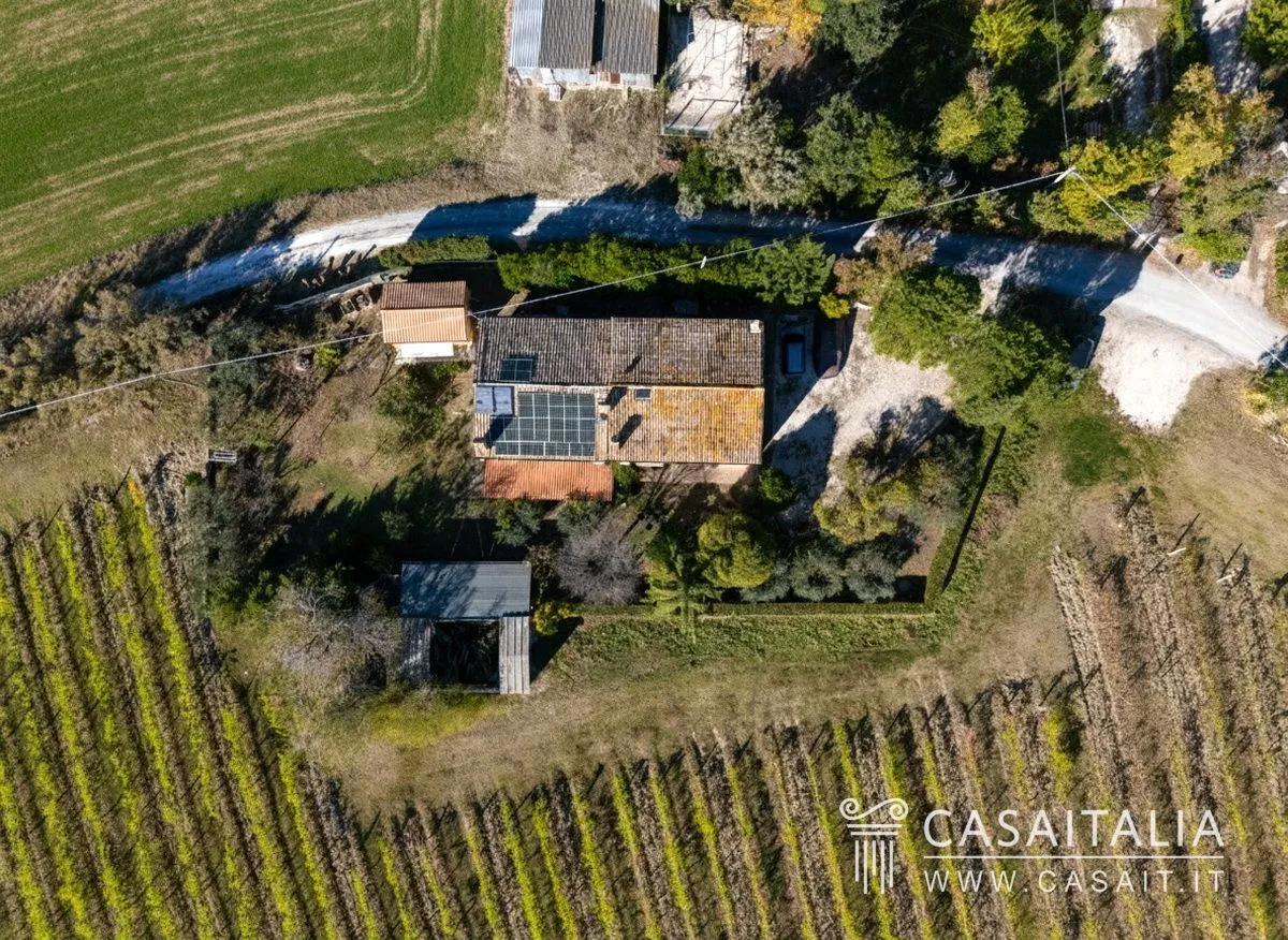 JRpmlEvLPEH5kYuBHnrn1JsC6ShXhWwvinTgJ7O1