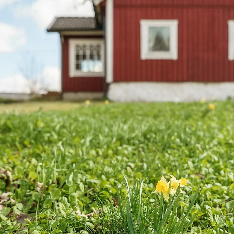 6DjCrQ9fwq2kWTg48TzCv5AoAisfalx7B3mgH3Lz