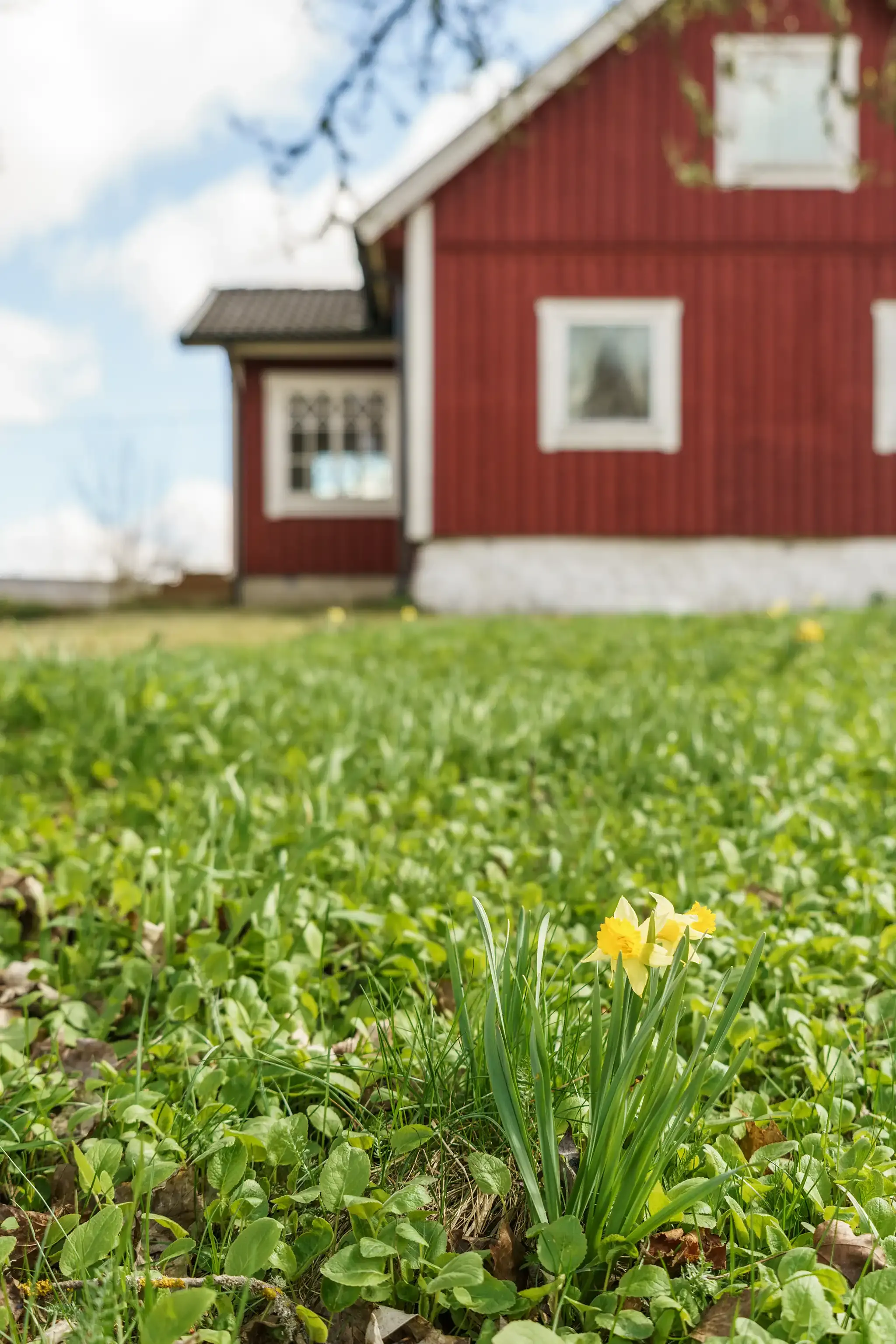 6DjCrQ9fwq2kWTg48TzCv5AoAisfalx7B3mgH3Lz