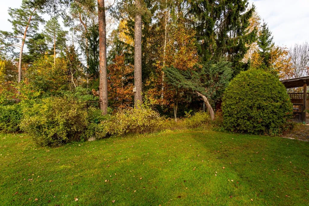 Mid-Century 2-Bedroom House with Expansive Garden in Adolfsberg, Örebro - View image 12 of 24