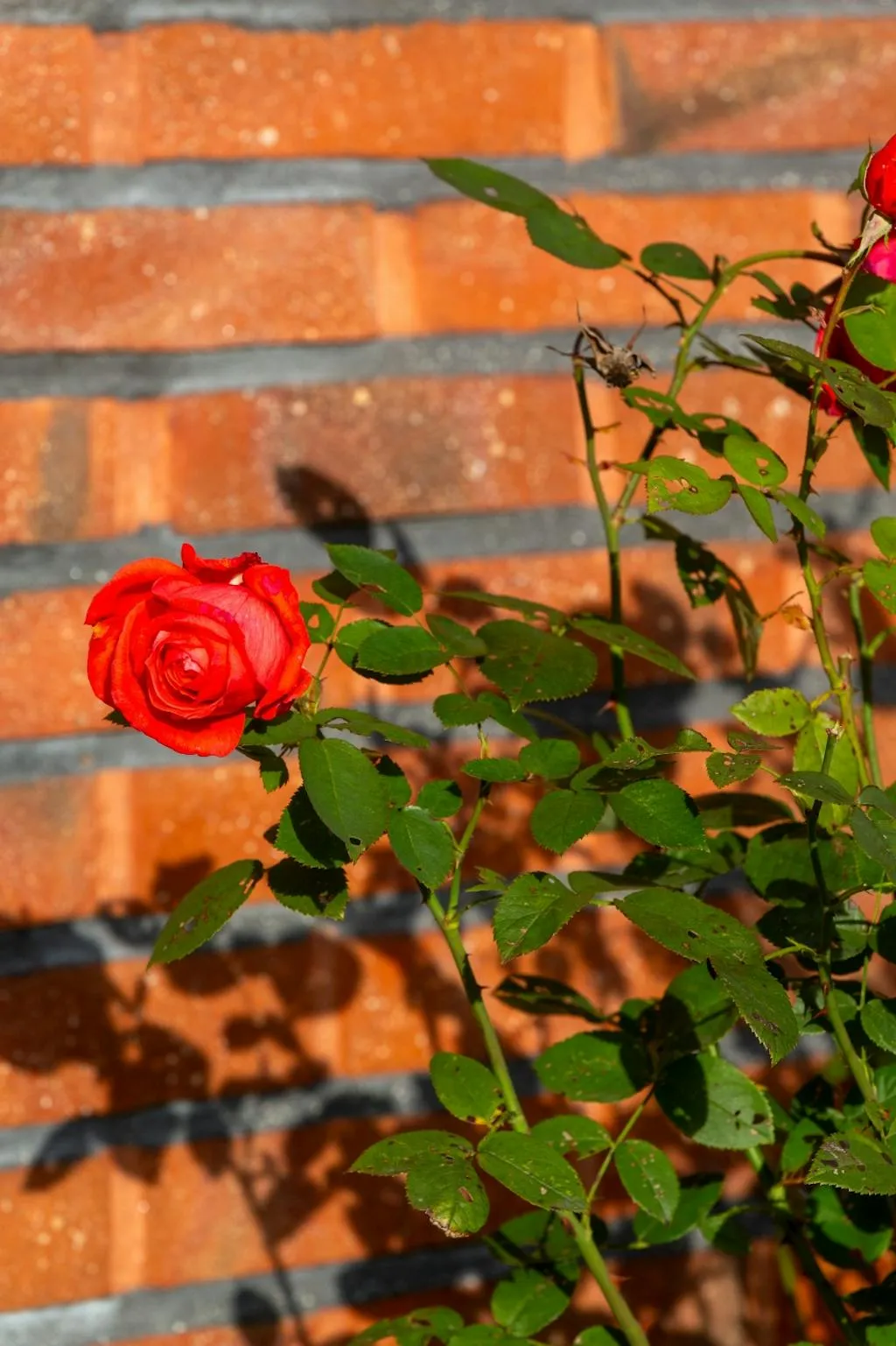 Mid-Century 2-Bedroom House with Expansive Garden in Adolfsberg, Örebro - View image 23 of 24