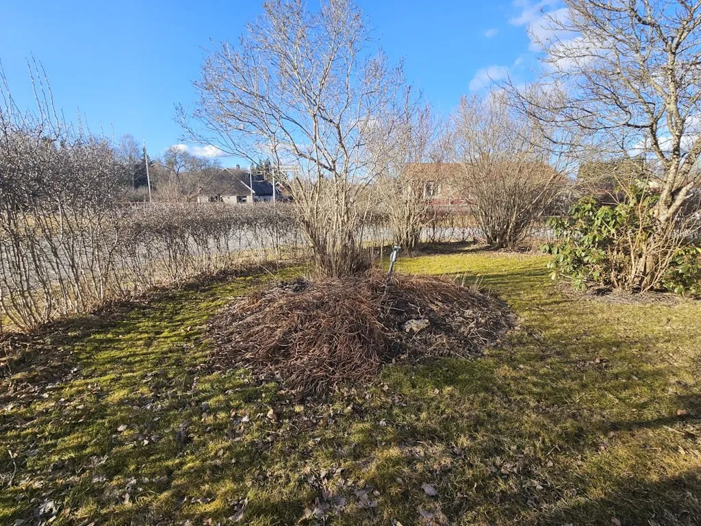1950s Swedish House with Garden on Corner Plot in Gusselby - View image 36 of 37